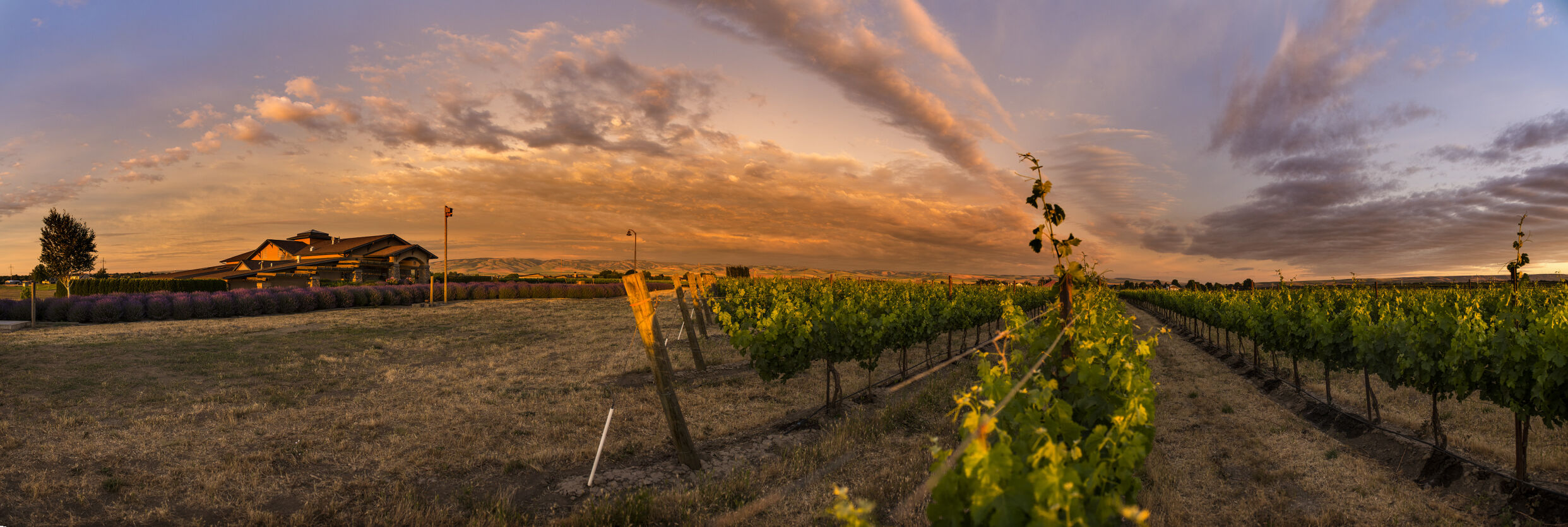 PHOTO: Golden light settles on the Northstar Winery in Walla Walla